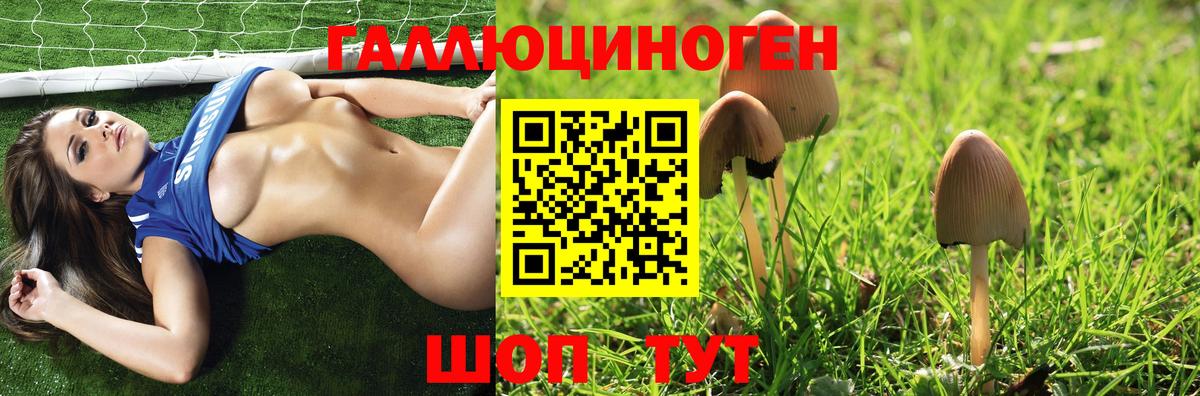 Псилоцибиновые грибы Psilocybe  Вход с VPN  Дальнегорск 