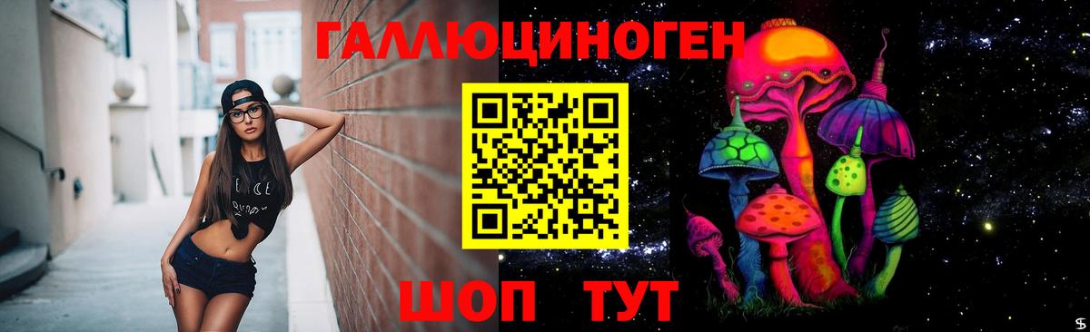 Галлюциногенные грибы Cubensis Дальнегорск